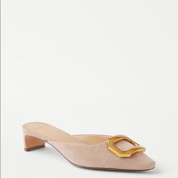 Ann Taylor suede buckle mule pumps - Picture 4 of 4
